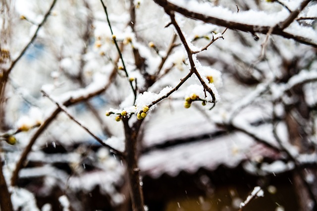 顿带来更广