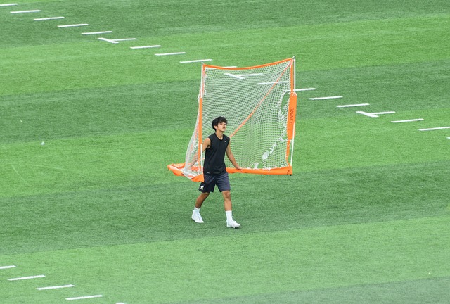 对未来的比